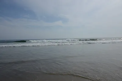 DSC_2238 (Large).JPG